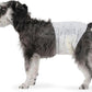 Amazon Basics Male Dog Diapers, 30 Count, Medium, Ultra Absorbent Disposable Wrap with Secure Fit, Leakproof and Comfortable