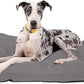 K9 Ballistics Tough Rectangle Pillow XXL Extra Large Dog Bed - Removable Cover, Washable, Durable & Water Resistant Dog Bed Made for Big Dogs 68" x40 Light Gray Velvet