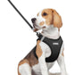 rabbitgoo Dog Harness Small Medium Sized and Leash Set, Step in Soft Light Puppy Vest, Breathable Mesh Pet Harness, Reflective for Safe Easy Walking, Black L