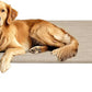 Veehoo Original Elevated Dog Cot Bed - Outdoor Raised Dog Bed, One-Sided Raised Headboard Cooling Pet Sleeping Training Cot, Non-Slip & Breathable, XL
