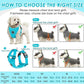SlowTon Dog Seat Belt Harness for Car, Dog Car Harness Adjustable Mesh Breathable & Dog Seatbelt Safety Tether with Elastic Bungee for Small Medium Large Pets(Light Blue, Double Clip, XXS)