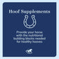 Uckele by SmartEquine Horse Biotin Powder | Hoof Supplement for Horses | Biotin for Horses | Includes Zinc and Methionine | 18 oz Jar