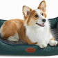 Orthopedic Dog Beds for Medium Dogs, Durable Egg Crate Foam Sofa Dog Bed wit Washable Removable Cover,Waterproof Lining,Pet Bed for Large Dogs (Olive Green, 31.5" L x 25.2" W x 7" Th)