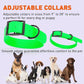 Dogline Biothane Waterproof Dog Collar Strong Coated Nylon Webbing with Black Hardware Odor- Proof for Easy Care Easy to Clean High Performance Fits Small Medium or Large Dogs, Tropical Green