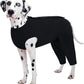 Kuoser Dog Surgery Suit Female Spay Male Neuter, Dog Leg Sleeve to Stop Licking Soft Dog Onesie for Abdominal Wound, Dog Recovery Suit Rear Leg Sleeves Pet Elbow Brace Protector, Black 3XL