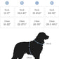 2025 New Edition, Fei & Eve MagEase Dog Harness - 3-Second Magnetic Buckles | 3-Point No-Pull Control | Heavy-Duty 900D Nylon | Dual Safety Handles | Breathable Mesh | Adjustable Fit |Small, Blue