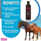 EQyss Micro-Tek Equine Itch Relief Gel - Soothes Irritated Skin, Stops Itching, Scratching, Rubbing - for all Horses, Ponies, Mares, Foals (16 oz)