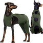 Kuoser Dog Surgery Recovery Suit, Thigh Wound Protective Sleeve for Dogs, Dog Recovery Sleeve for Female Male Dogs, Pet Surgical Suit for Spay Neuter, Dog Onesie After Surgery, Green XXL