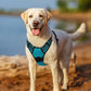 rabbitgoo Dog Harness No Pull with 2 Leash Clips, Adjustable Soft Padded, Reflective Oxford No Choke Pet Vest with Easy Control Handle for Large Dogs, Teal, XL