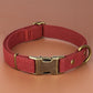 PET ARTIST Dog Collars for Medium Dogs, Soft Padded Premium Nylon Dog Collar with Quick Release Metal Buckle, Durable & Adjustable Pet Collars for Girl Gifts, Red, M (Fit 13-20")