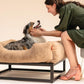 FUZI Luxury Aesthetic Dog Bed for Small Dogs with Washable Cover, Pet Couch, Pet Bed with Sides, Non-Slip Bottom, Soft and Durable Calming Dog Bed, Faux Rabbit Fur, Small 25.1x16.75x9.5 Light Brown