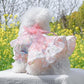 Pink Dog Dress for Small Dog Girl Spring Puppy Clothes with Bow Puff Sleeves Cat Outfit Doggy Princess with Leash Ring Doggies Harness Dress Summer Pet Apparel (Pink, X-Large)