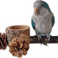 Bird Perch with Safe Bowl Wood & Pinecones - Bird Toys Chew Toys 100% Natural & Durable for Cockatiel, Conure, Budgie, Lovebird, Parakeet - Birdcage Accessory for Foraging & Oral Health