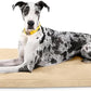 K9 Ballistics Tough Ripstop Orthopedic Dog Crate Bed - Durable Pad with Washable Cover, for Wire Crates, Tie-Downs Included, Size: XX-Large 53"x36", Sandstone