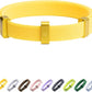 Safety Cat Collar - U.S. IDA Gold Awarding Design, Elastic Quick Release, Non Breakaway - Lightweight for Kitten, Neck Fit 5.9'-11.8' for All Small Large Cat,S(Sunshine)