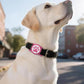 IP68 Waterpoof Dog Airtag Holder, Stretchy Silicone Full Body Covered Apple Air Tag Holder for Dog Cat Collar Fit All Width Collar (Rose, 1 Pack)