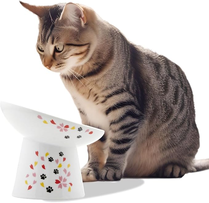 Necoichi Extra Wide Raised Cat Food Bowl, Elevated Cat Bowls to Prevent Neck & Whisker Fatigue, Dishwasher and Microwave Safe, No.1 Seller in Japan! (Sakura Limited Edition, Extra Wide Tilted)