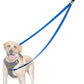 PetBonus Two Point Control Dog Leash, Works with No Pull Harnesses, No Tangle Dog Training Leashes, No Pull Padded and Reflective Walking Lead, Converts to Single Leash for Medium Large Dogs (Blue)