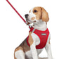 rabbitgoo Dog Harness Small Medium Sized and Leash Set, Step in Soft Light Puppy Vest, Breathable Mesh Pet Harness, Reflective for Safe Easy Walking, Red L