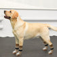 BEAUTYZOO Anti Slip Dog Socks for Small Medium Large Dogs,Paw Protector with Grips for Hardwood Floor Hot/Cold Pavement,Traction Control 3 Pairs AntiTwist Dog Shoes to Prevent Licking for Senior Dog