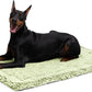 Stoutwool Indestructible Dog Bed - Fluffy Chew Proof Dog Crate Pad - Tough Kennel Pad for Aggressive Chewers - Washable, Ideal for Large Breeds & Fits 42-Inch Crate - 41"x27", Gleam