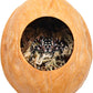 2 Pack Jumping Spider Enclosure Accessories with Walnut Shell Moss and Magnet, Natural Material Jumping Spider Hide