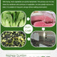 Hamster Food Dried Vegetables for Small Rodents Pet Snacks