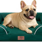Comfort Expression Small Dog Beds Waterproof Orthopedic Foam Dog Sofa Beds for Medium Dogs Comfy Pet Bed with Washable Removable Cover & Non-Slip Bottom(Small,Emerald)