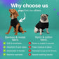 PupShield - Dog Surgery Recovery Suit Male and Female - All Dog Sizes - Easy to Use Anti Licking Design Breathable Comfortable - Spay & Neuter Recovery Suit - Surgical Onesie - Cone Alternative
