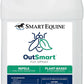 OutSmart® Fly Spray | Plant-Based Mosquito, Tick, and Fly Spray Repellent for Horses and Riders | Fresh Scent | 1 Gallon