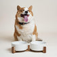 Dog Bowls Ceramic for Small Medium Dogs - 3-Cup Dual Food & Water Bowl Set with Acacia Wood Stand, Non-Slip Anti-Tip Elevated Design