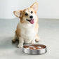 2Pack Slow Feeder Dog Bowls, Double-Layer Food-Grade Stainless Steel, Heavy Duty with Non-Slip Rubber Base, 2Cups Capacity for Small and Medium Dogs to Slow Down Eating