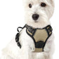 rabbitgoo Dog Harness No Pull with 2 Leash Clips, Adjustable Soft Padded, Reflective Oxford No Choke Pet Vest with Easy Control Handle for Puppy, Beige, XS