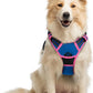 rabbitgoo Dog Harness No Pull with 2 Leash Clips, Adjustable Soft Padded, Reflective Oxford No Choke Pet Vest with Easy Control Handle for Large Dogs, Blue & Hot Pink, M