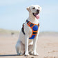 Eagloo Dog Harness for Large Dogs, No Pull Service Vest with Reflective Strips and Control Handle, Adjustable and Comfortable for Walking, No Choke Pet Harness with 2 Metal Rings, Blue & Orange, L