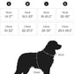 2025 New Edition, Fei & Eve MagEase Dog Harness - 3-Second Magnetic Buckles | 3-Point No-Pull Control | Heavy-Duty 900D Nylon | Dual Safety Handles | Breathable Mesh | Adjustable Fit | Small, Black