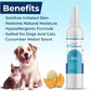 Replenish Antiseptic Spray for Dogs – Medicated Anti Itch Spray for Pets – Chlorhexidine & Ketoconazole Pet Spray – Dog Itching Skin Relief - Antiseptic Spray for Cats Skin Allergy – 8 oz