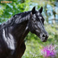 Mane 'n Tail Ultimate Gloss Combo Set for The Ultimate Long Lasting Shine