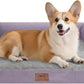 Dog Bed Medium Size Dog-Orthopedic Waterproof Bed for Dogs,Foam Couch Sofa with Washable Removable Cover & Non-Slip Bottom-Purple