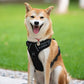 PoyPet No Pull Dog Harness, Reflective Comfortable Vest Harness with Front & Back 2 Leash Attachments and Easy Control Handle Adjustable Soft Padded Pet Vest for Small to Large Dogs (Black,S)