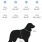 2025 New Edition, Fei & Eve MagEase Dog Harness - 3-Second Magnetic Buckles | 3-Point No-Pull Control | Heavy-Duty 900D Nylon | Dual Safety Handles | Breathable Mesh | Adjustable Fit | Medium, Blue