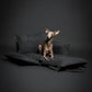 Noah & Paw Dog Car Seat Carrier, Small Dog Car Seat for Small Medium Pets with Harness Clip, 4X Safety Feature, Booster Travel Bed, Waterproof Washable, Orthopedic Foam Filling, Canvas Collection