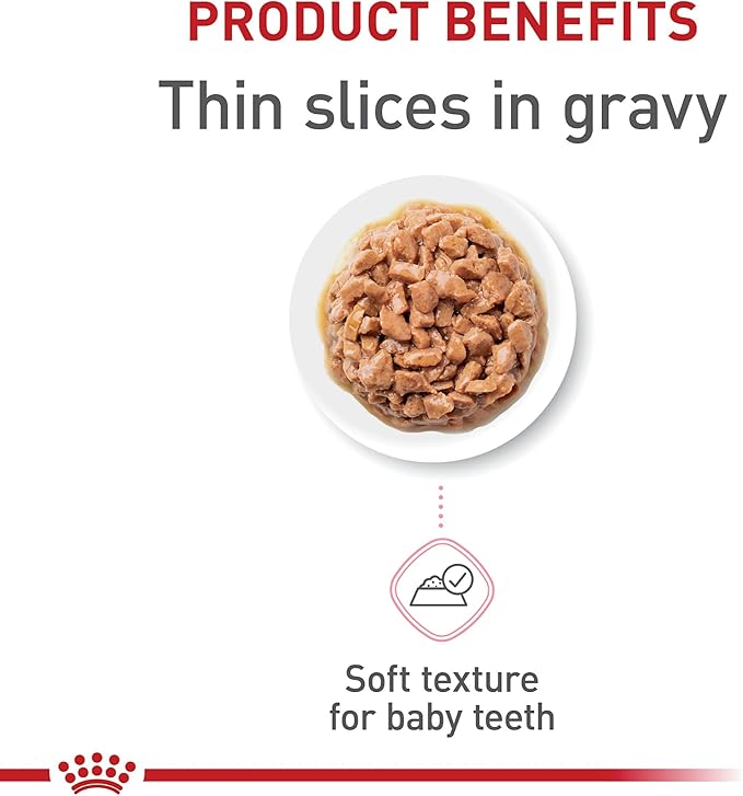 Royal Canin Feline Health Nutrition Kitten Thin Slices in Gravy Canned Cat Food, 3 oz can (18-count)