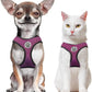 BINGPET Small Dog Harness - Breathable Mesh Puppy Cat Harnesses - No Pull Adjustable Dog Harness Dog Vest Harness for Small and Medium Dogs