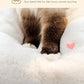 PETEPELA Wood Cat Tree for Indoor Cats Multi-Level Tower with Sisal Covered Scratching Posts, Cozy Condo, Super Large Hammock and Plush Perches Faux Rabbit Milk Fur Beige Rabbit Fur Wood Beige