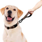 PLUTUS PET Short Dog Leash, Reflective Nylon Padded Handle, Strong Traffic Leash with Carabiner Clip, Perfect for Large or Medium Dogs (10”，Chocolate)