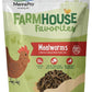Manna Pro Mealworms Poultry Treat - High Protein, 100% Natural, 10oz