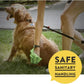 Dog Poop Bags, Dog Waste Bags, Biodegradable Unscented Refill Rolls, Includes Dispenser
