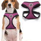 BINGPET Dog Vest Harness -Light Weight Breathable Sports Mesh - Pet Adjustable Harness Puppy Padded Harnesses Dog Vest Harness for Small Dogs