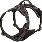 TRUE LOVE Adjustable No-Pull Dog Harness Reflective Pup Vest Harnesses Comfortable Control Brilliant Colors Truelove TLH5651(Brown,XS)